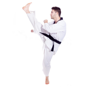 4'x8'x2 Martial Arts Fitness Practice Mat