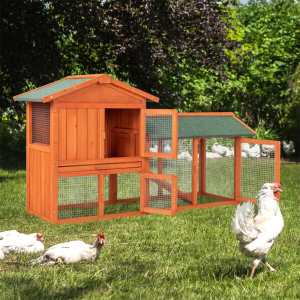 Wooden Chicken Coop Hutch